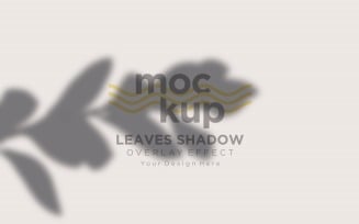 Leaves Shadow Overlay Effect Mockup