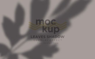 Leaves Shadow Overlay Effect Mockup 02