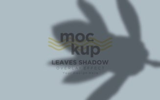 Leaves Shadow Overlay Effect Mockup 04