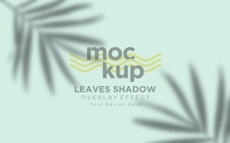 Leaves Shadow Overlay Effect Mockup 05