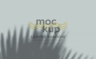 Leaves Shadow Overlay Effect Mockup 13