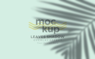 Leaves Shadow Overlay Effect Mockup 15
