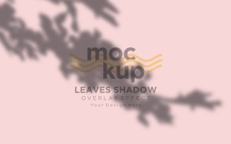 Leaves Shadow Overlay Effect Mockup 18
