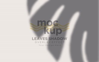 Leaves Shadow Overlay Effect Mockup 20