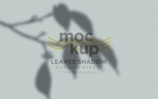 Leaves Shadow Overlay Effect Mockup 23