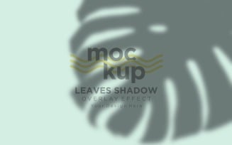 Leaves Shadow Overlay Effect Mockup 25