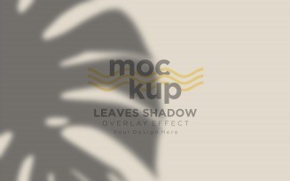 Leaves Shadow Overlay Effect Mockup 26