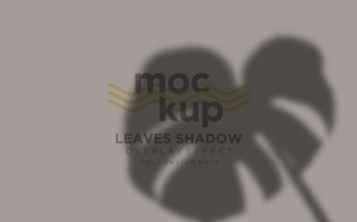 Leaves Shadow Overlay Effect Mockup 32