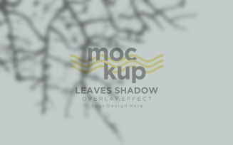 Leaves Shadow Overlay Effect Mockup 33