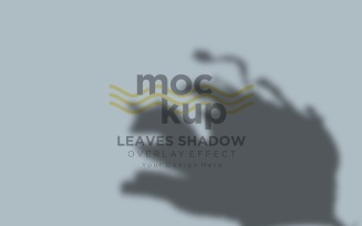 Leaves Shadow Overlay Effect Mockup 34