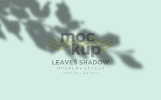 Leaves Shadow Overlay Effect Mockup 35
