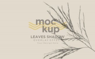Leaves Shadow Overlay Effect Mockup 36
