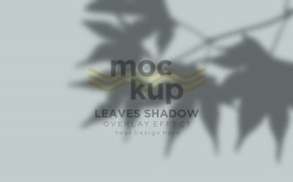 Leaves Shadow Overlay Effect Mockup..