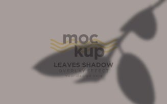 Overlay Effect Mockup Of Leaves Shadow