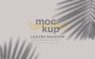 Leaves Shadow Overlay Effect Mockup 37