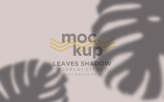 Leaves Shadow Overlay Effect Mockup 41