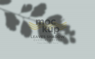 Leaves Shadow Overlay Effect Mockup 43