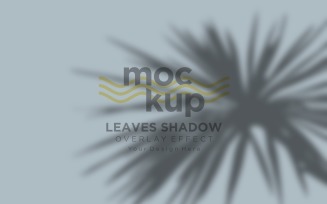 Leaves Shadow Overlay Effect Mockup 44