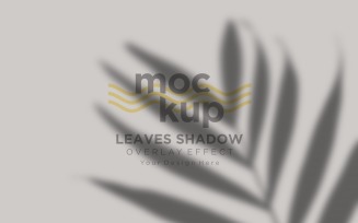 Leaves Shadow Overlay Effect Mockup 47