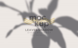 Leaves Shadow Overlay Effect Mockup 50