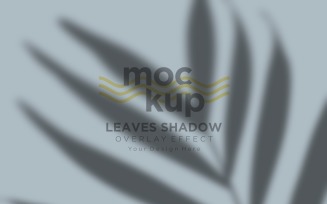 Leaves Shadow Overlay Effect Mockup 54