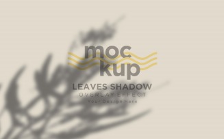 Leaves Shadow Overlay Effect Mockup 56