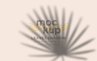 Leaves Shadow Overlay Effect Mockup 59