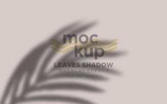 Leaves Shadow Overlay Effect Mockup 61