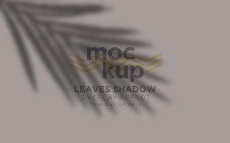 Leaves Shadow Overlay Effect Mockup 62