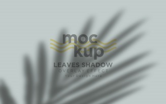 Leaves Shadow Overlay Effect Mockup 63