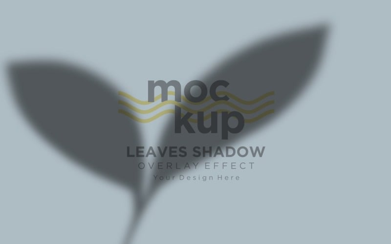 Leaves Shadow Overlay Effect Mockup 64 Product Mockup
