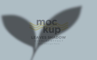Leaves Shadow Overlay Effect Mockup 64