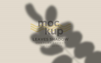 Leaves Shadow Overlay Effect Mockup 66