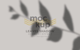 Leaves Shadow Overlay Effect Mockup 67