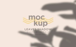 Leaves Shadow Overlay Effect Mockup 69