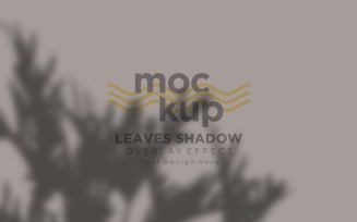 Leaves Shadow Overlay Effect Mockup 72
