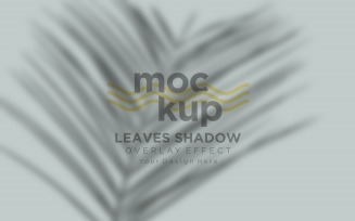 Leaves Shadow Overlay Effect Mockup 73