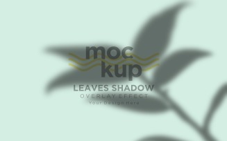 Leaves Shadow Overlay Effect Mockup 75
