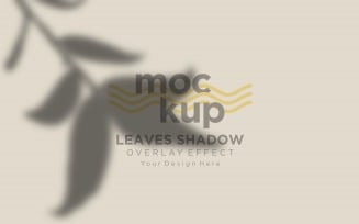 Leaves Shadow Overlay Effect Mockup 76