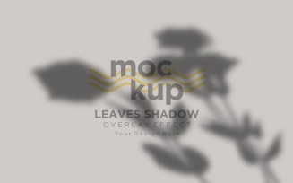 Leaves Shadow Overlay Effect Mockup 77