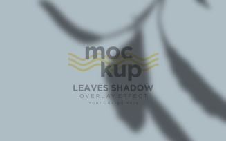 Leaves Shadow Overlay Effect Mockup 84