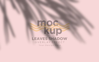 Leaves Shadow Overlay Effect Mockup 88
