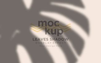 Leaves Shadow Overlay Effect Mockup 89