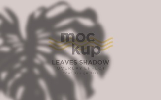 Leaves Shadow Overlay Effect Mockup 91