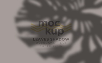 Leaves Shadow Overlay Effect Mockup 92