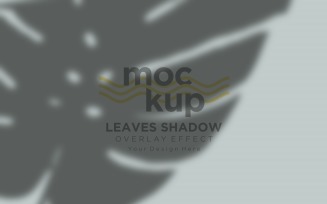Leaves Shadow Overlay Effect Mockup 93