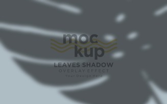 Leaves Shadow Overlay Effect Mockup 94