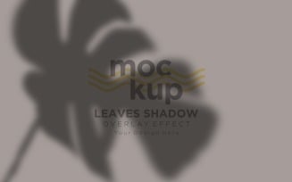 Leaves Shadow Overlay Effect Mockup 102