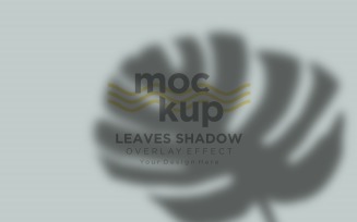 Leaves Shadow Overlay Effect Mockup 103