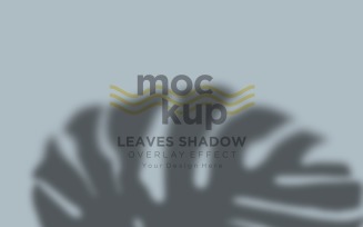 Leaves Shadow Overlay Effect Mockup 104
